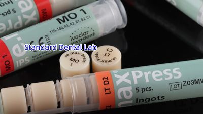Standard Dental Lab Co., Limited 製造者の生産ライン