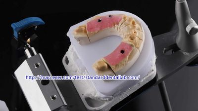 Standard Dental Lab Co., Limited 製造者の生産ライン