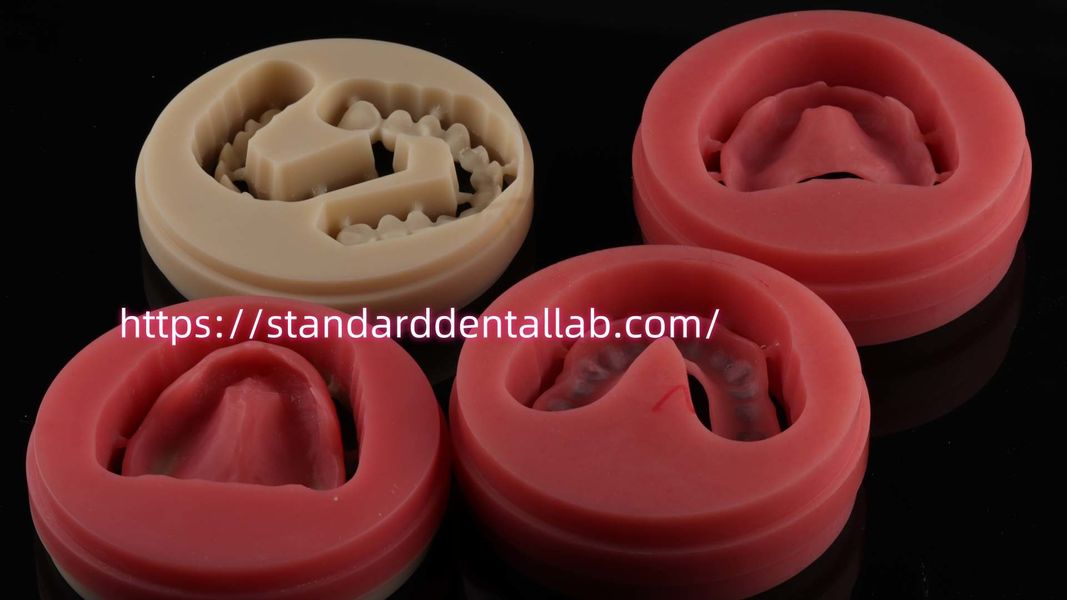 Standard Dental Lab Co., Limited 製造者の生産ライン