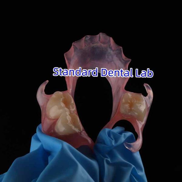 Standard Dental Lab Co., Limited 製造者の生産ライン