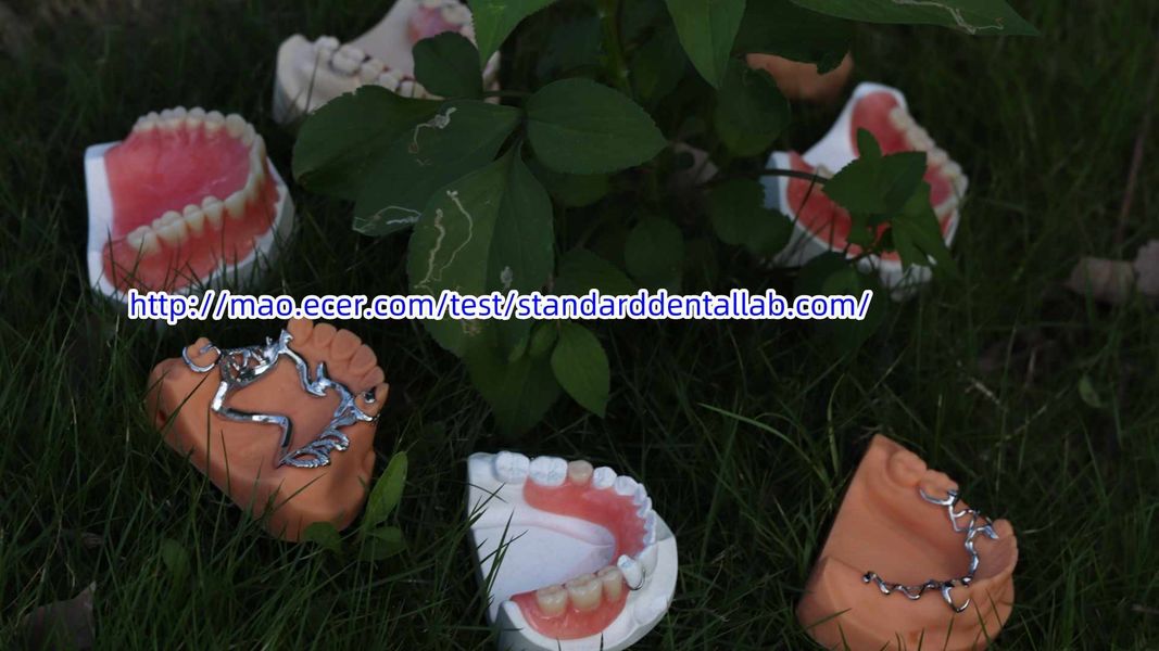 Standard Dental Lab Co., Limited 製造者の生産ライン