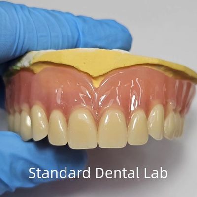 購入 スタンダード イボクラ コンプリート アクリル 歯科 プロフェッショナル FDA 認定 オンライン製造