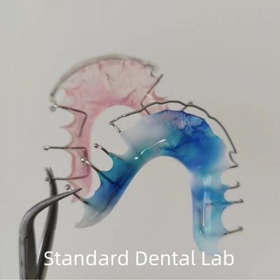 購入 ホウリー オーラウンド オーソドンティック 保持 歯科 アクリル 口腔 オンライン製造