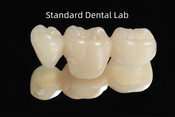 CAD CAM 空き PMMA 仮歯科 仮橋