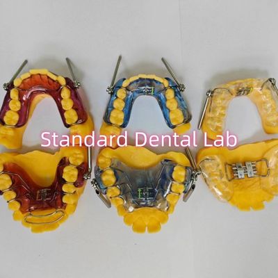 歯科 機能性 歯科 矯正 器具 中国 歯科 実験室