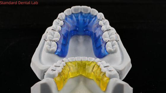 快適なステンレス鋼 アクリルホーリー保持器 効果的な正歯器