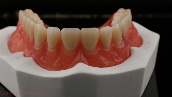 Dentsply Lucitone 199 アクリル製の歯科 完全アーチ 自然な外観