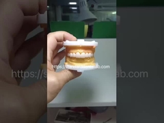 高美質ブルックス・ジール フルコントールジルコニア・クラウンズ PFZブリッジ