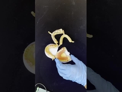 Dentsply Lucitone 199 アクリル製の歯科 完全アーチ 自然な外観