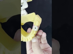 ポルセラン オールオン4 ジルコニアブリッジ 高い美容性 歯科インプラント ブリッジ スクロール 保持