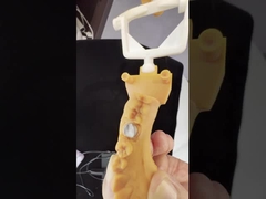 フルコントールジルコニアクラウン/高美容性 天然 オーダーメイド アイドイト ジルコニア 歯科 橋